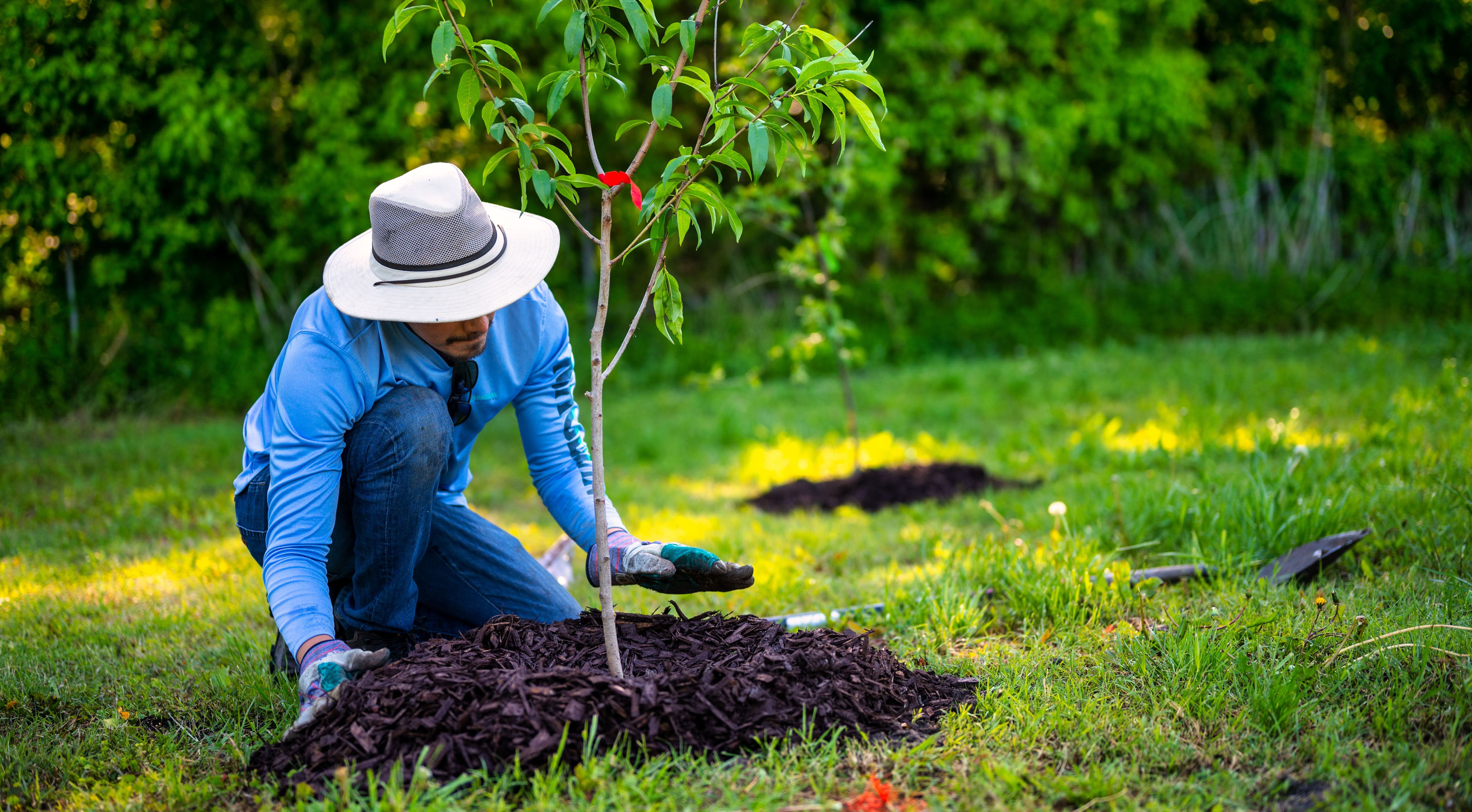 Weeding, Mulching & Bed Cleanup