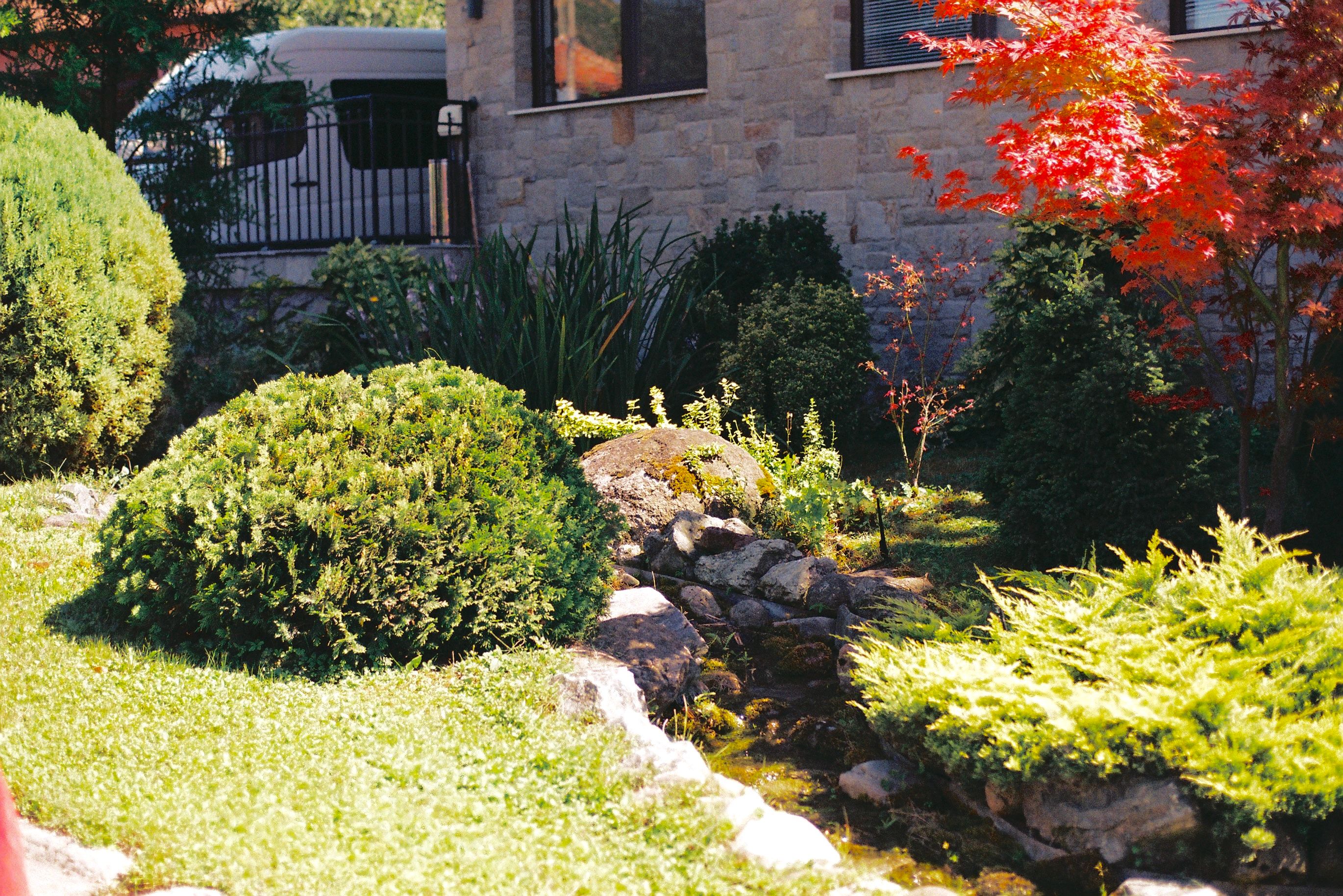 Hedge & Shrub Care