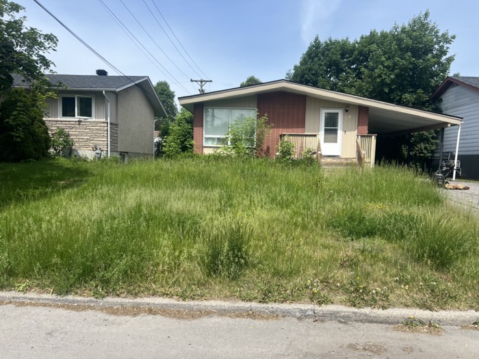 Lawn maintenance project photo