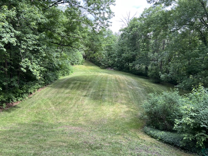 Lawn maintenance project photo