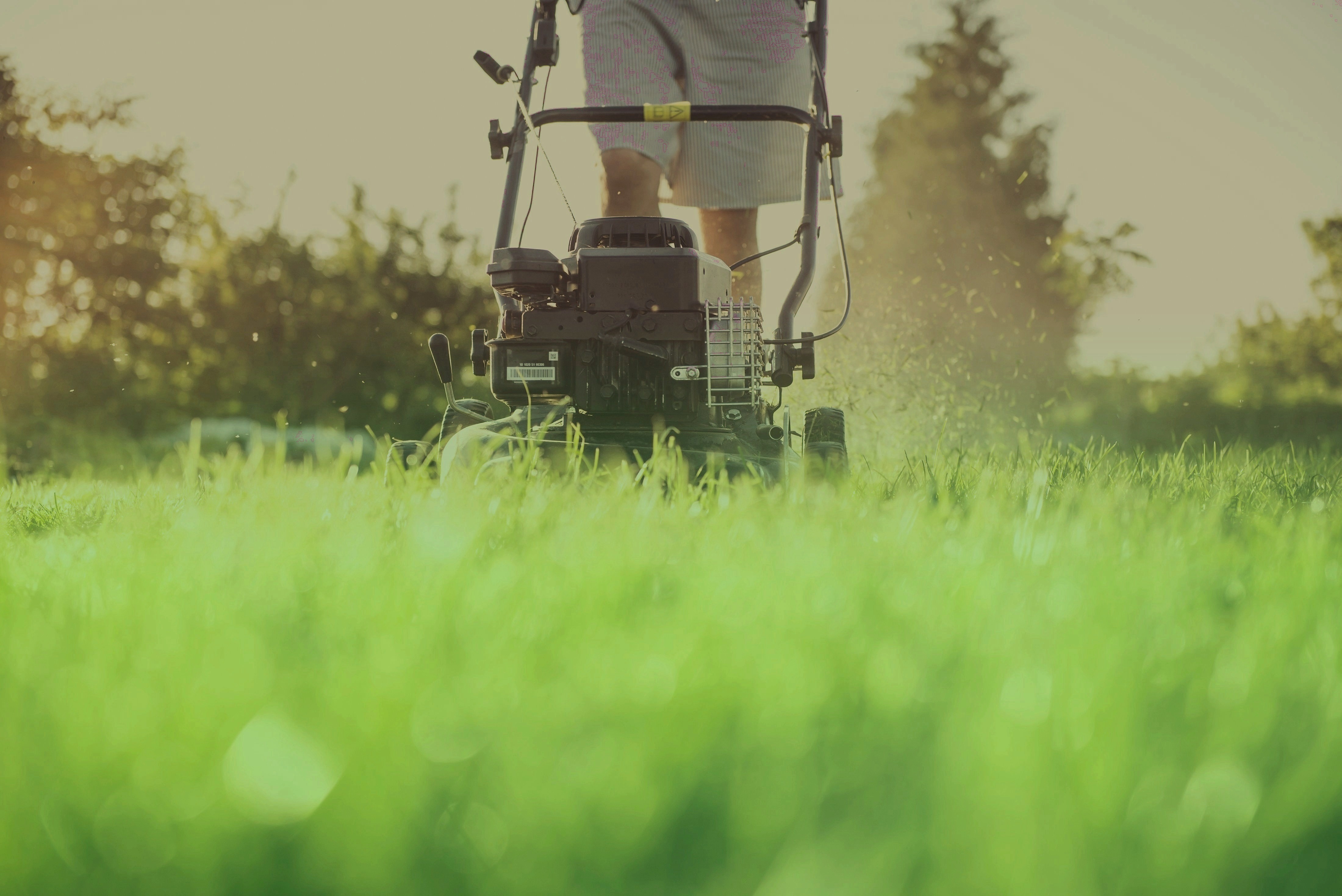 Lawn Mowing