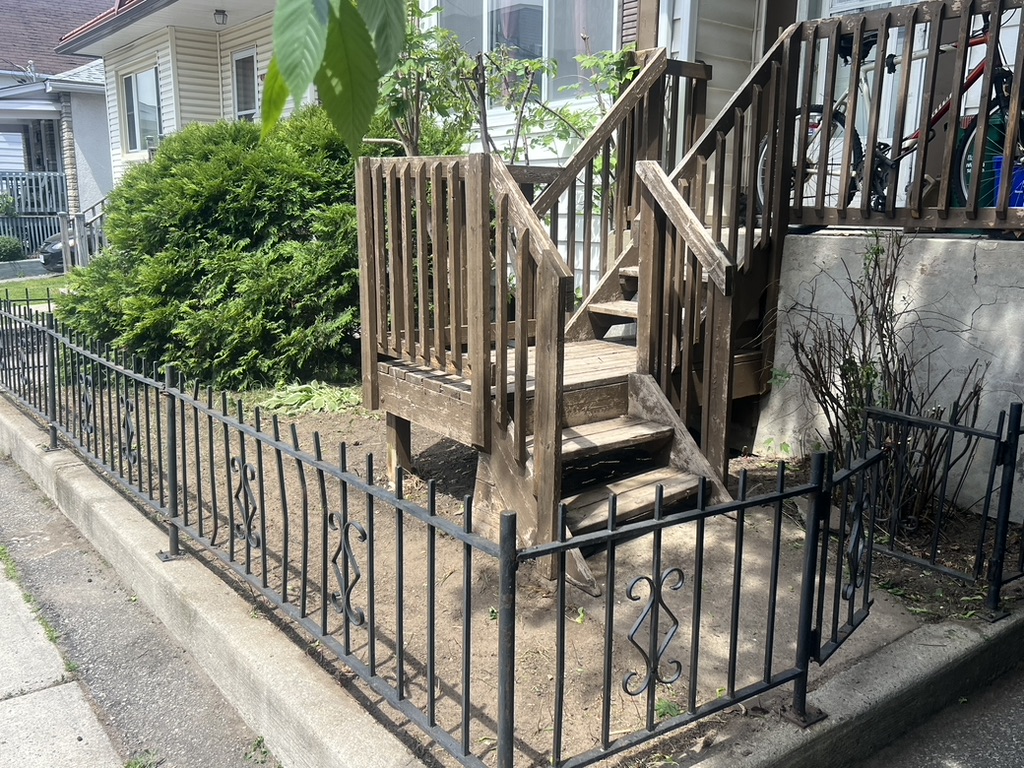 Overgrown Fence Line & Yard Cleanup