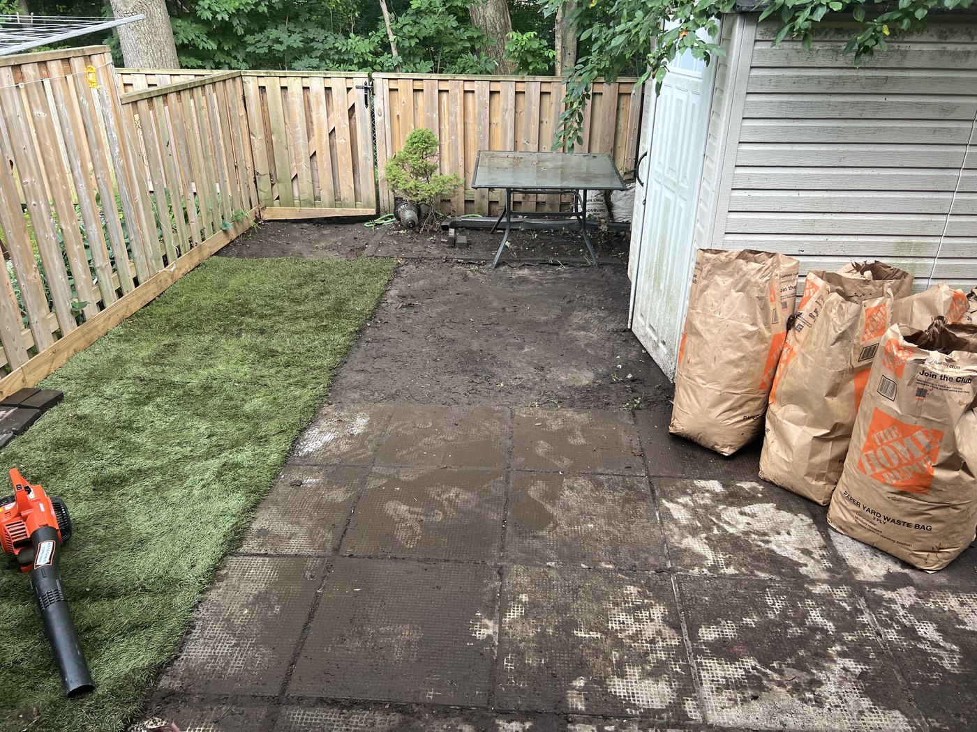 Backyard Cleanup & Sod Refresh