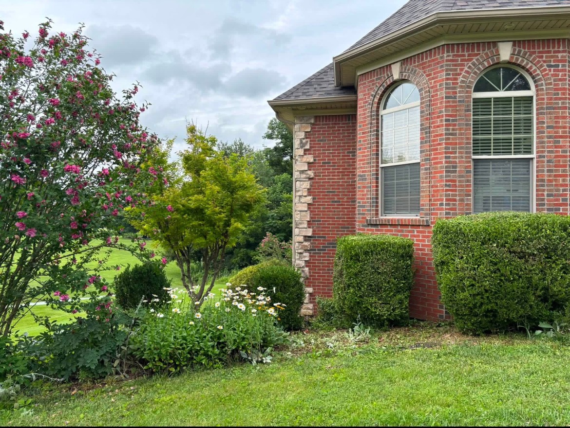Yard Cleanup